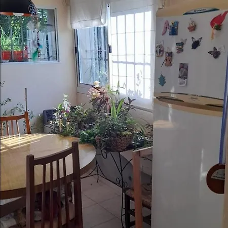 La casa del pino-3